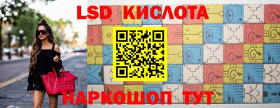 ECSTASY Гай