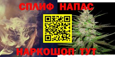 ECSTASY Гай