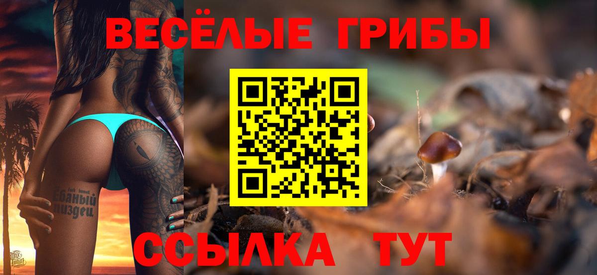Москва  Псилоцибиновые грибы прущие грибы  Вход с VPN  Галлюциногенные грибы MAGIC MUSHROOMS 